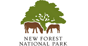 New Forest National Park