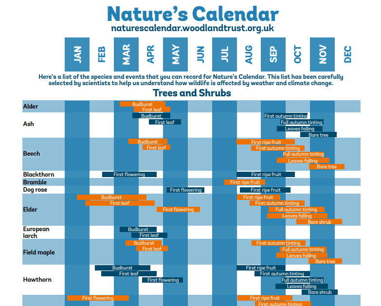 Nature’s Calendar Nature’s Calendar